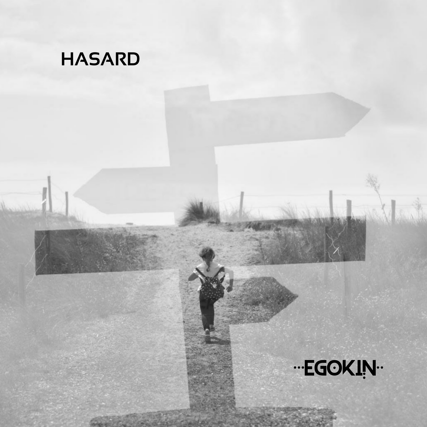 HASARD (Artwork) - EGOKIN
